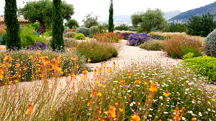 Pathway gardens